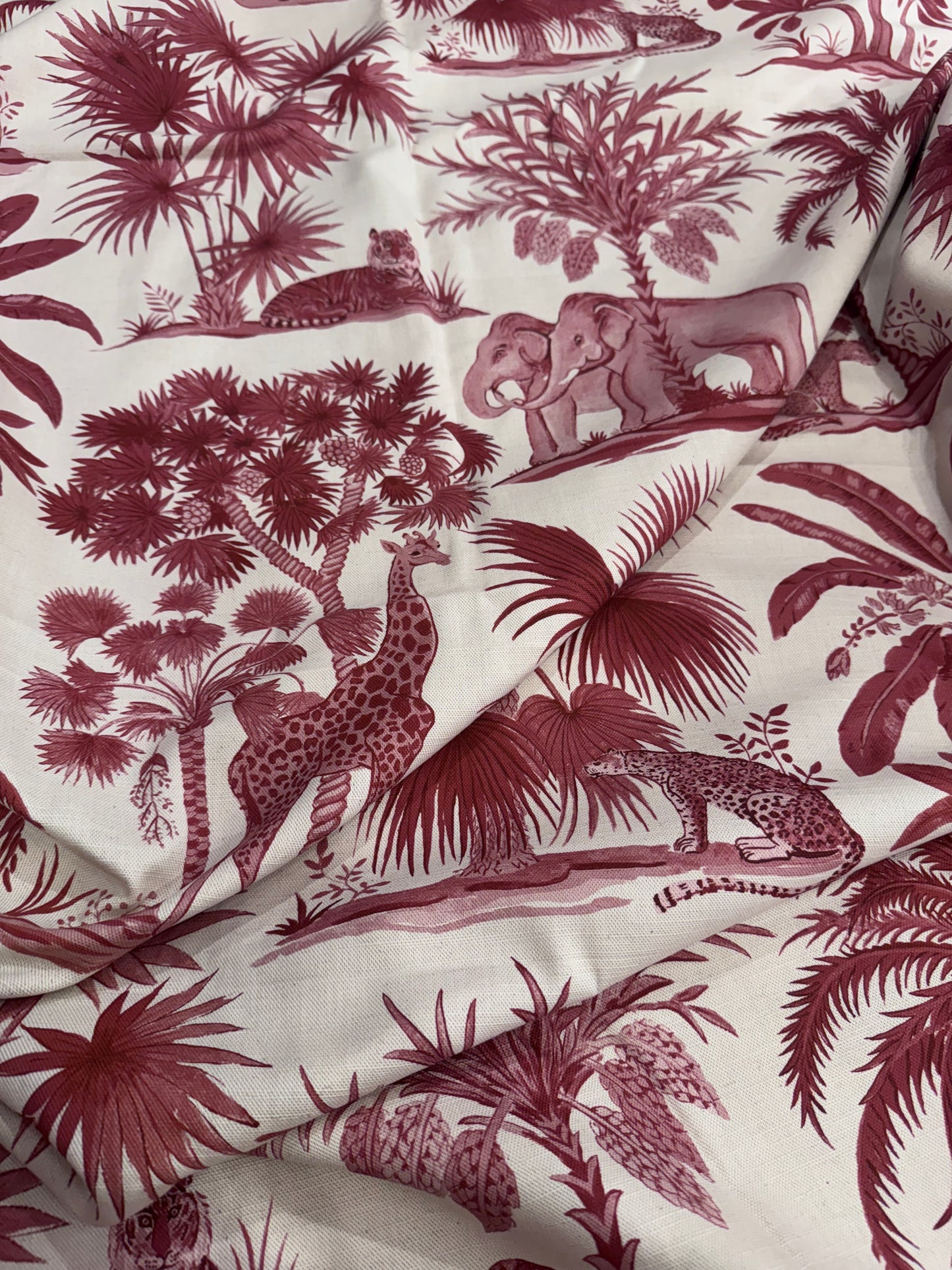 Alison Gee It's a Jungle Out There
