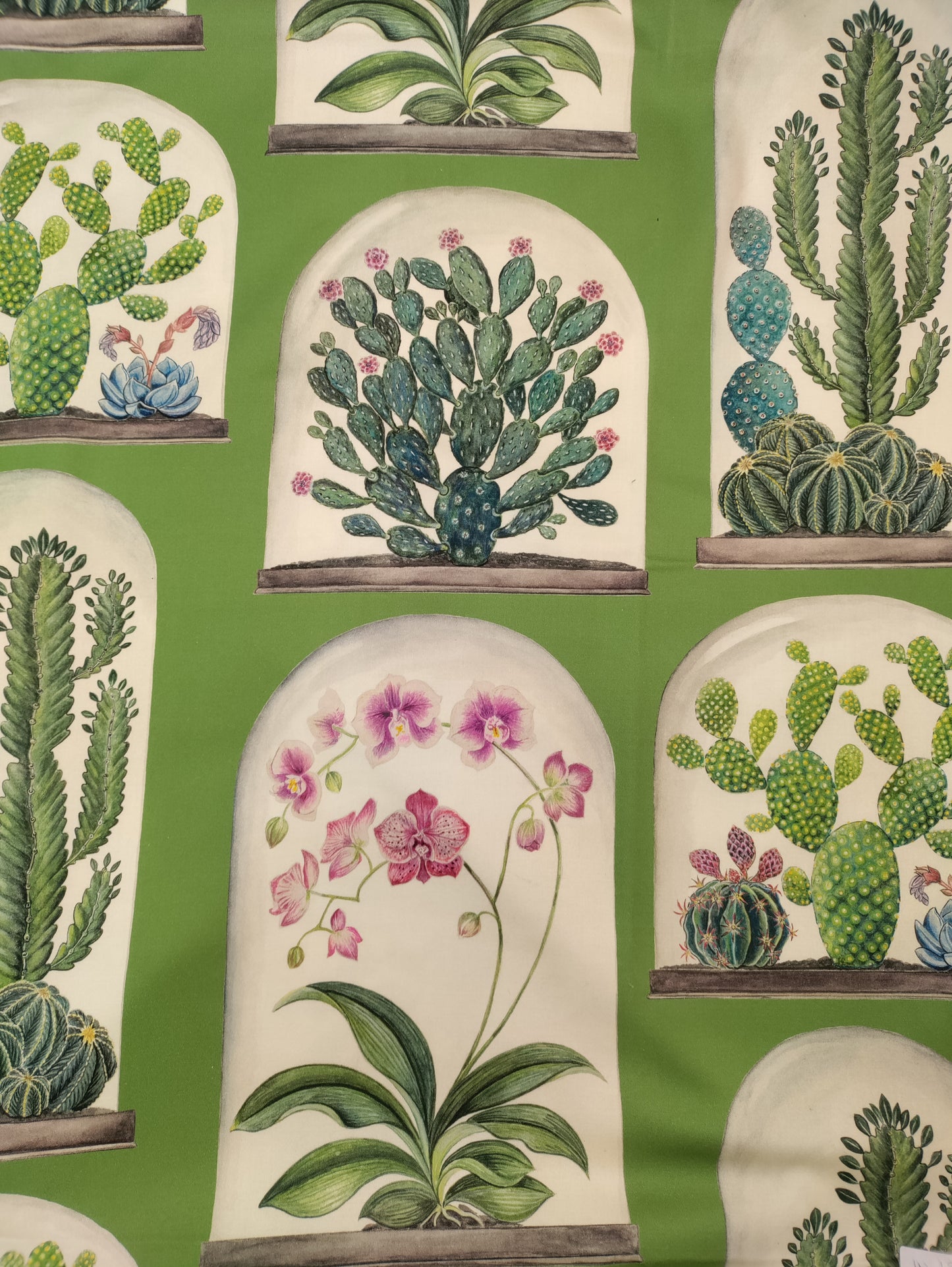 Sanderson Terraruims