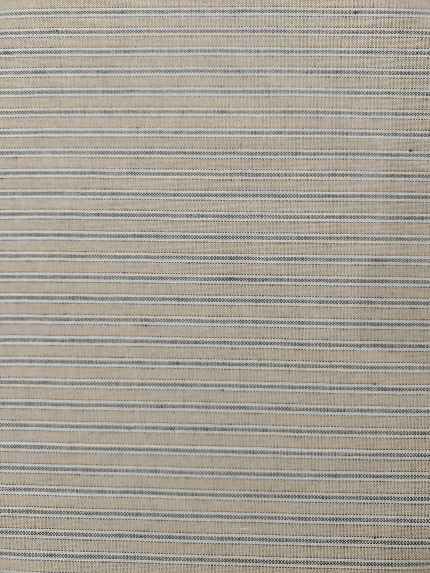 Blue Harvard Ticking