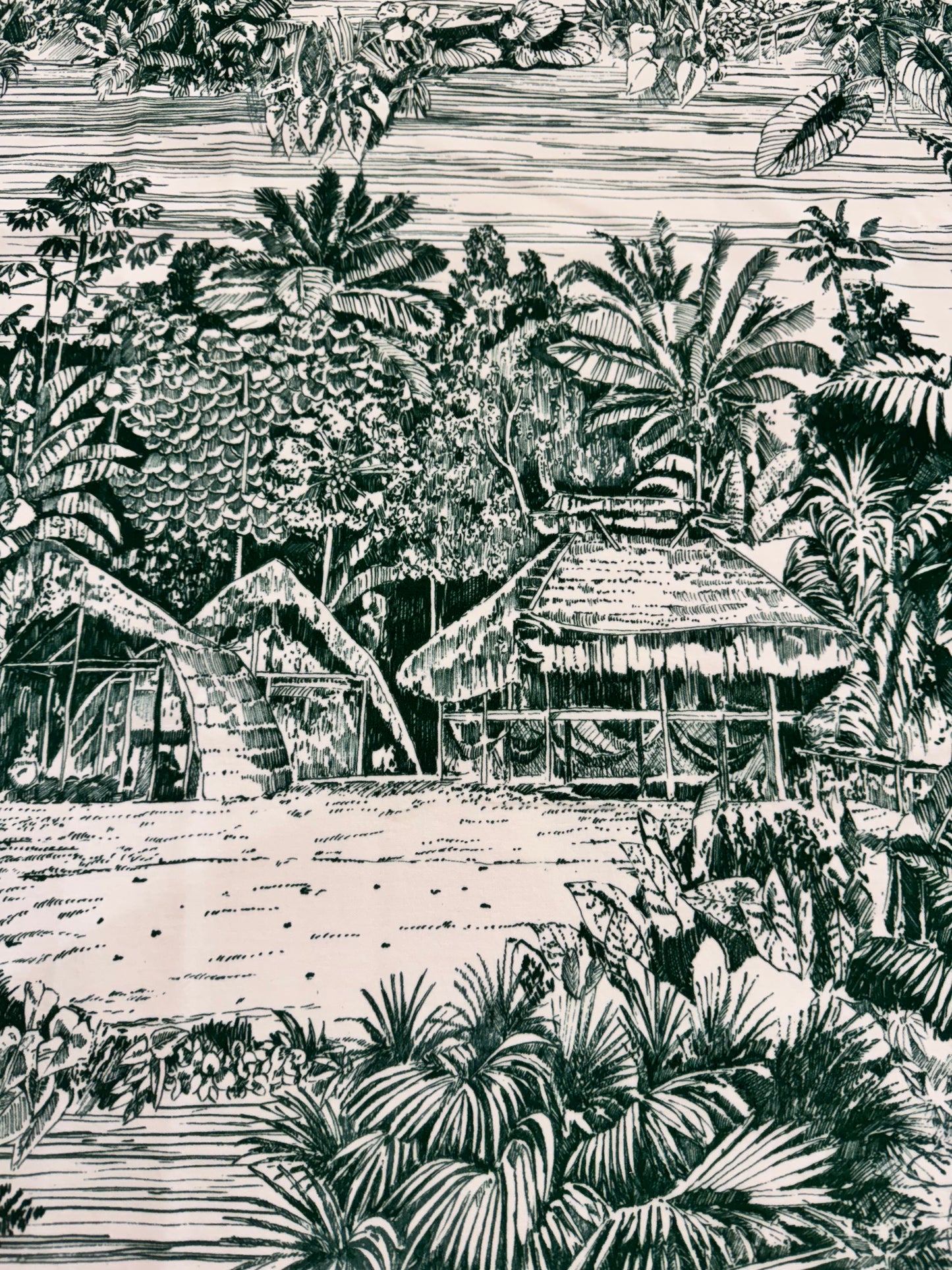 Pierre Frey Belize