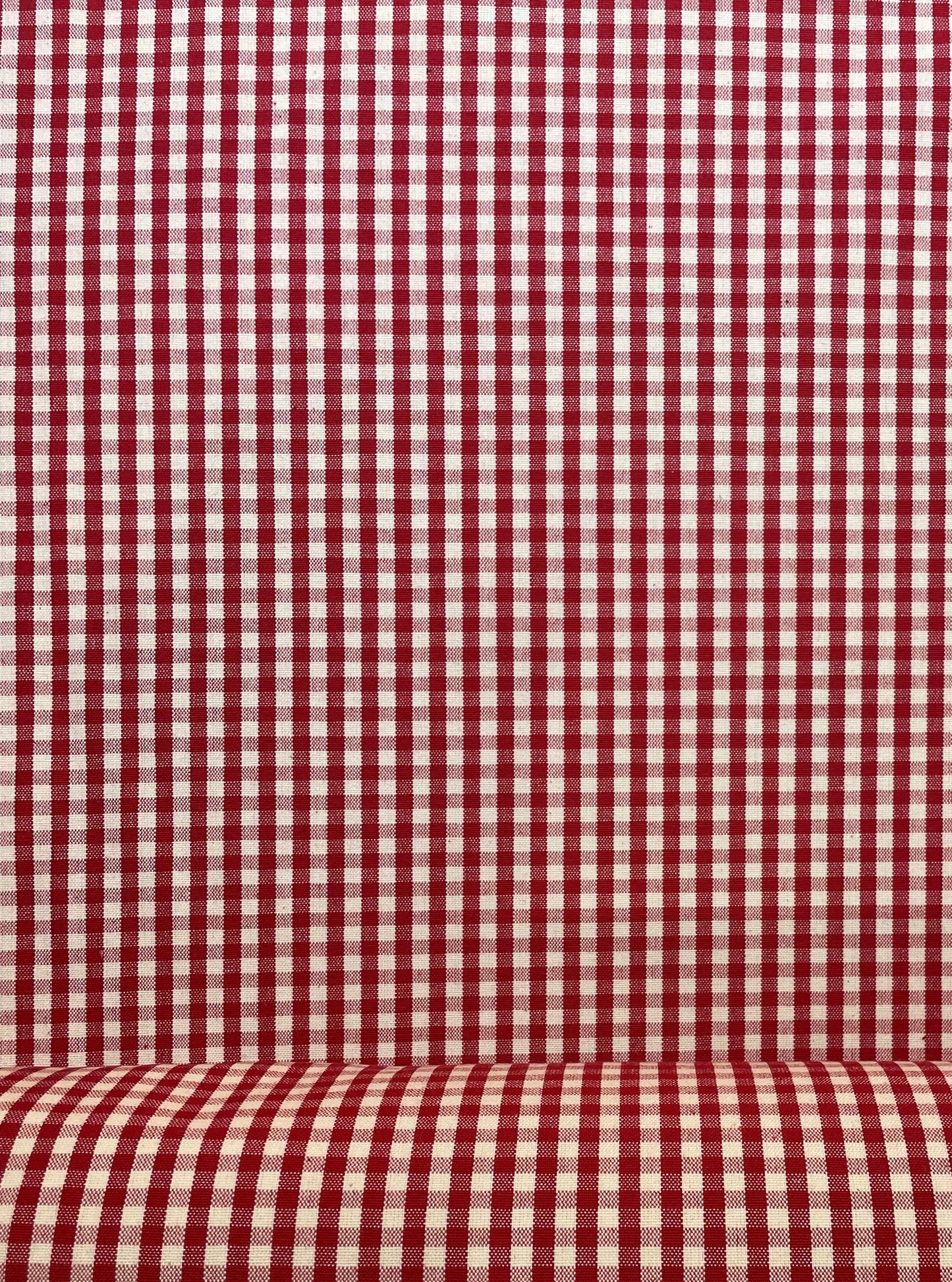 Small Red Gingham Check