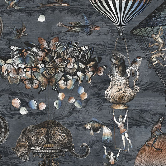 Curious Skies - Upstairs Downstairs Interiors