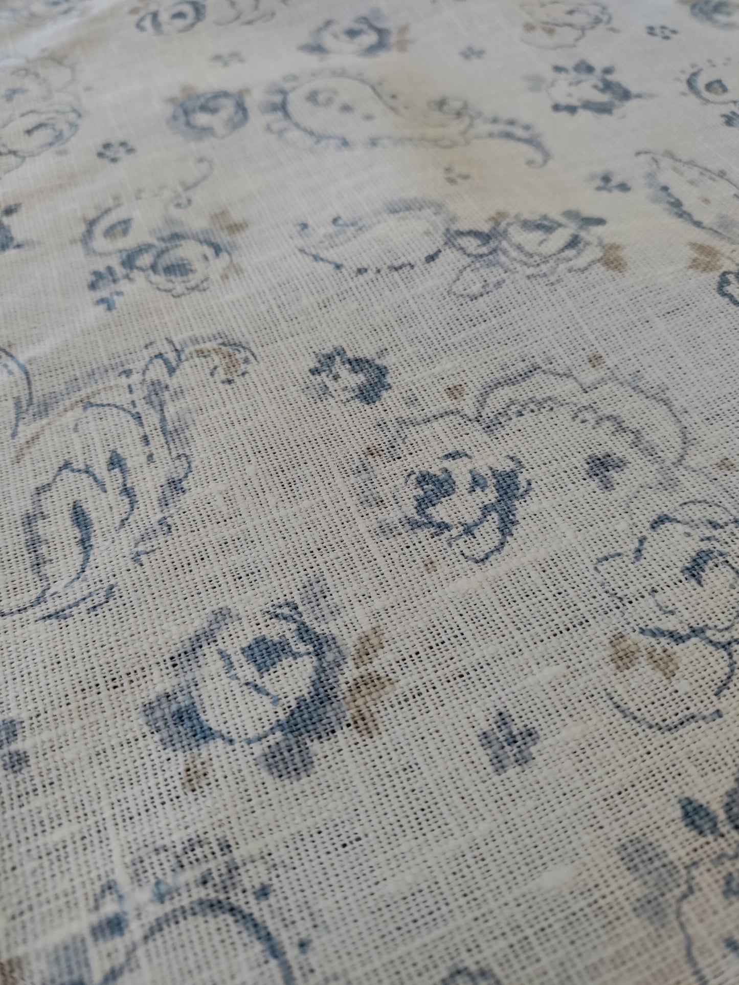 Clarke & Clarke Evelina Wedgewood