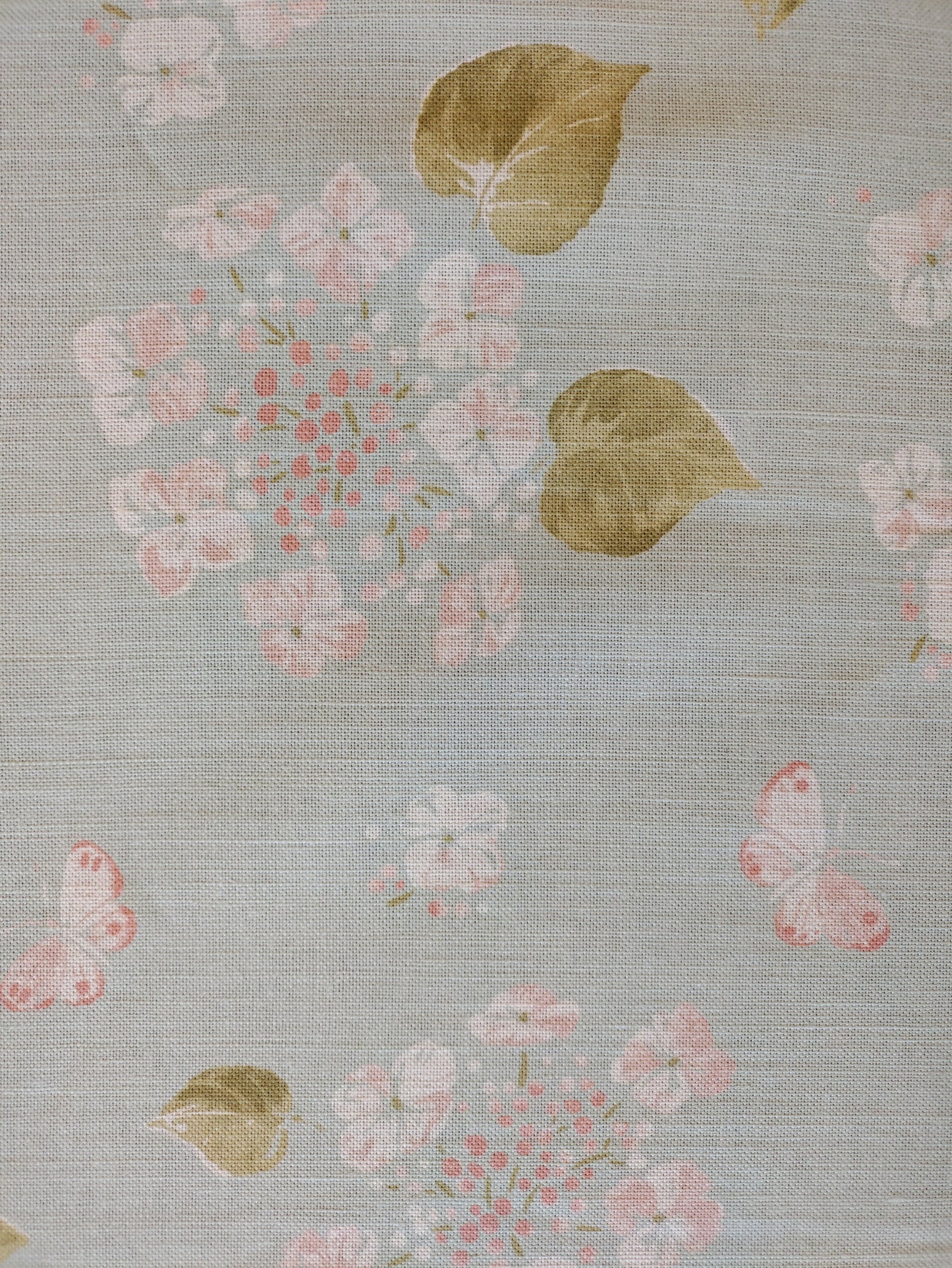 Jacqueline Milton Hydrangea