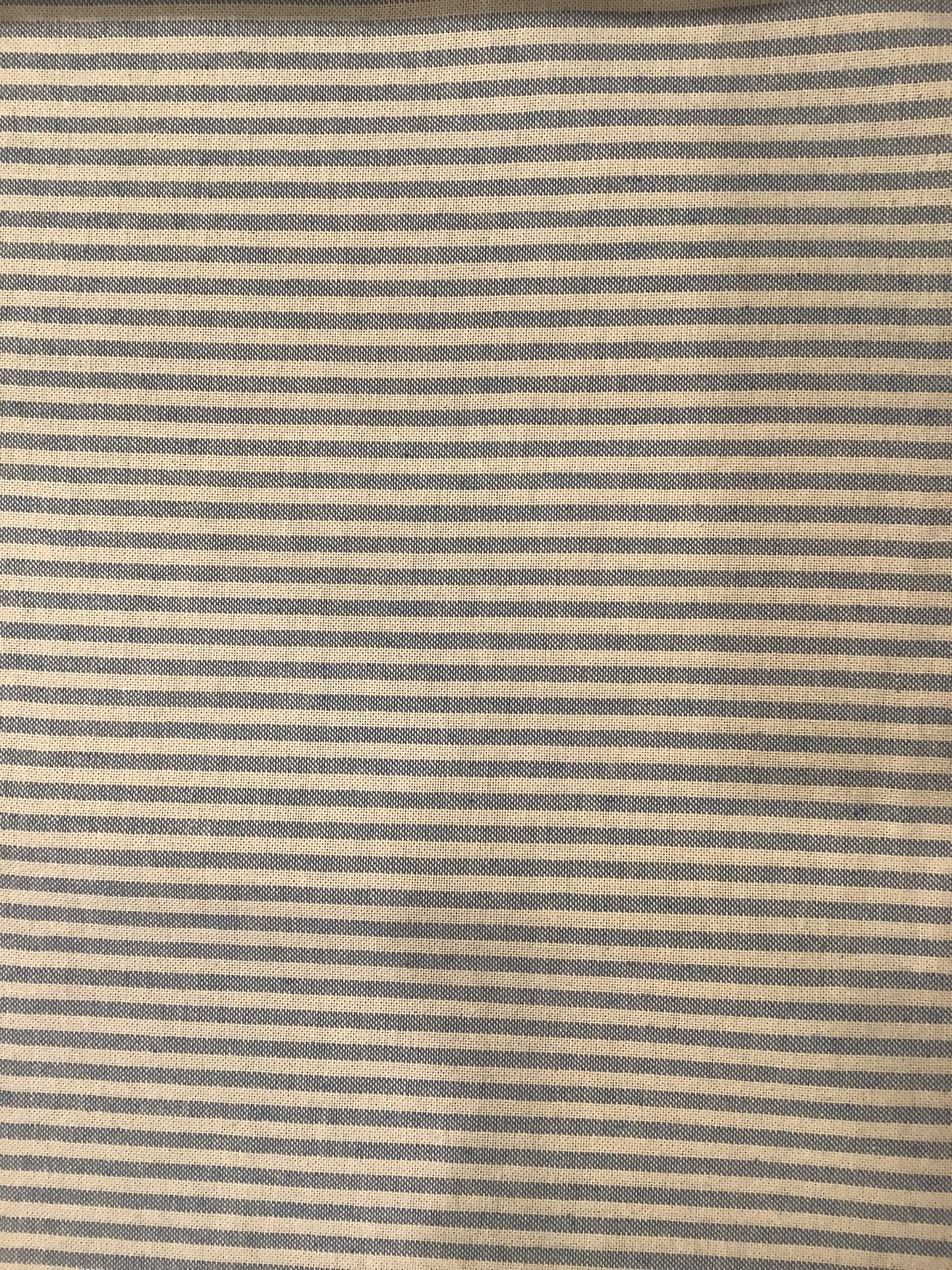Baby Blue Coast Stripe