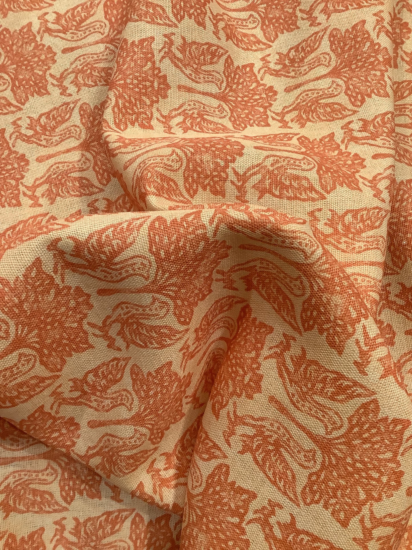 Peachy Partridge