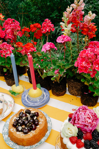 Yellow & White Tablecloth - Upstairs Downstairs Interiors
