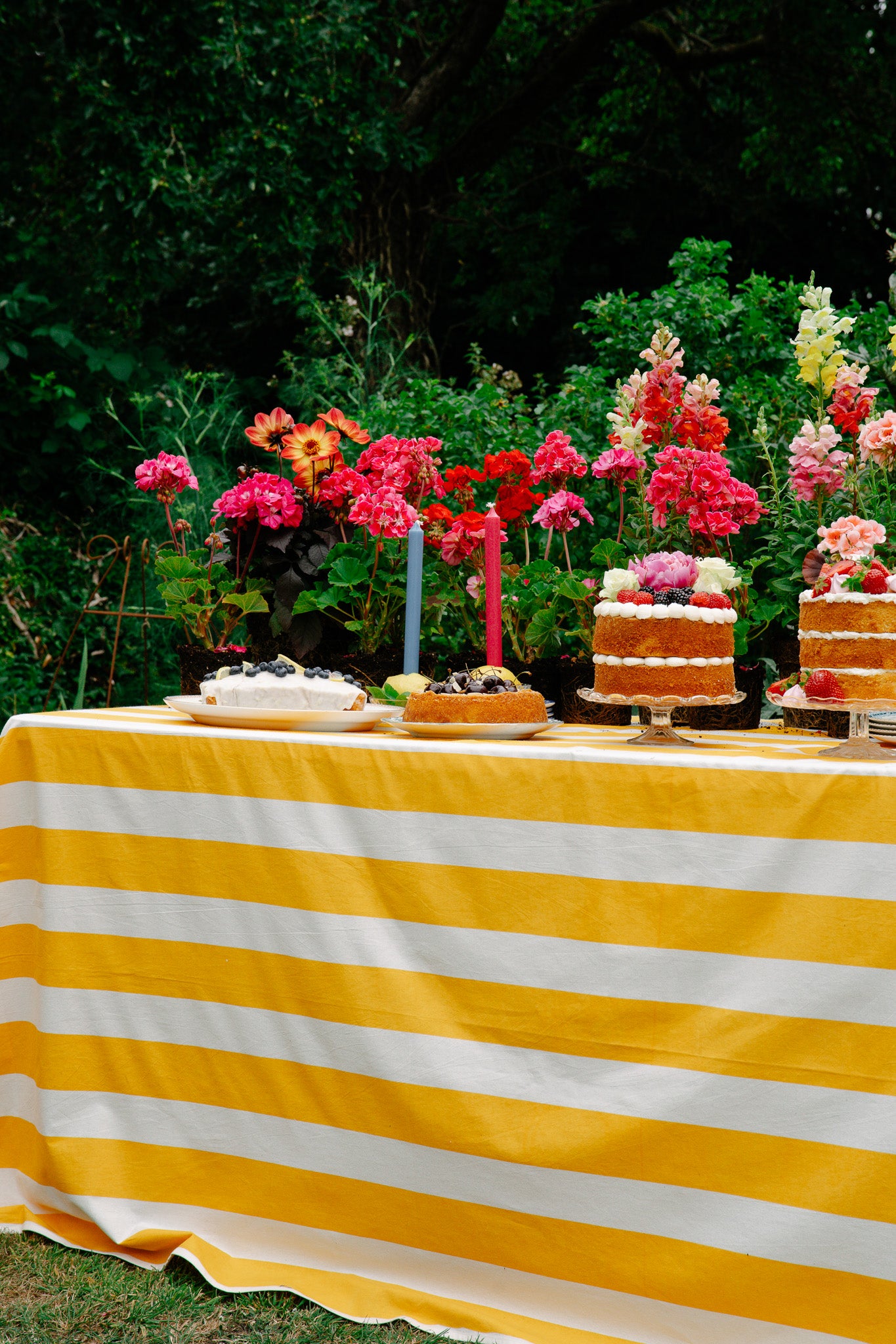 Yellow & White Tablecloth - Upstairs Downstairs Interiors