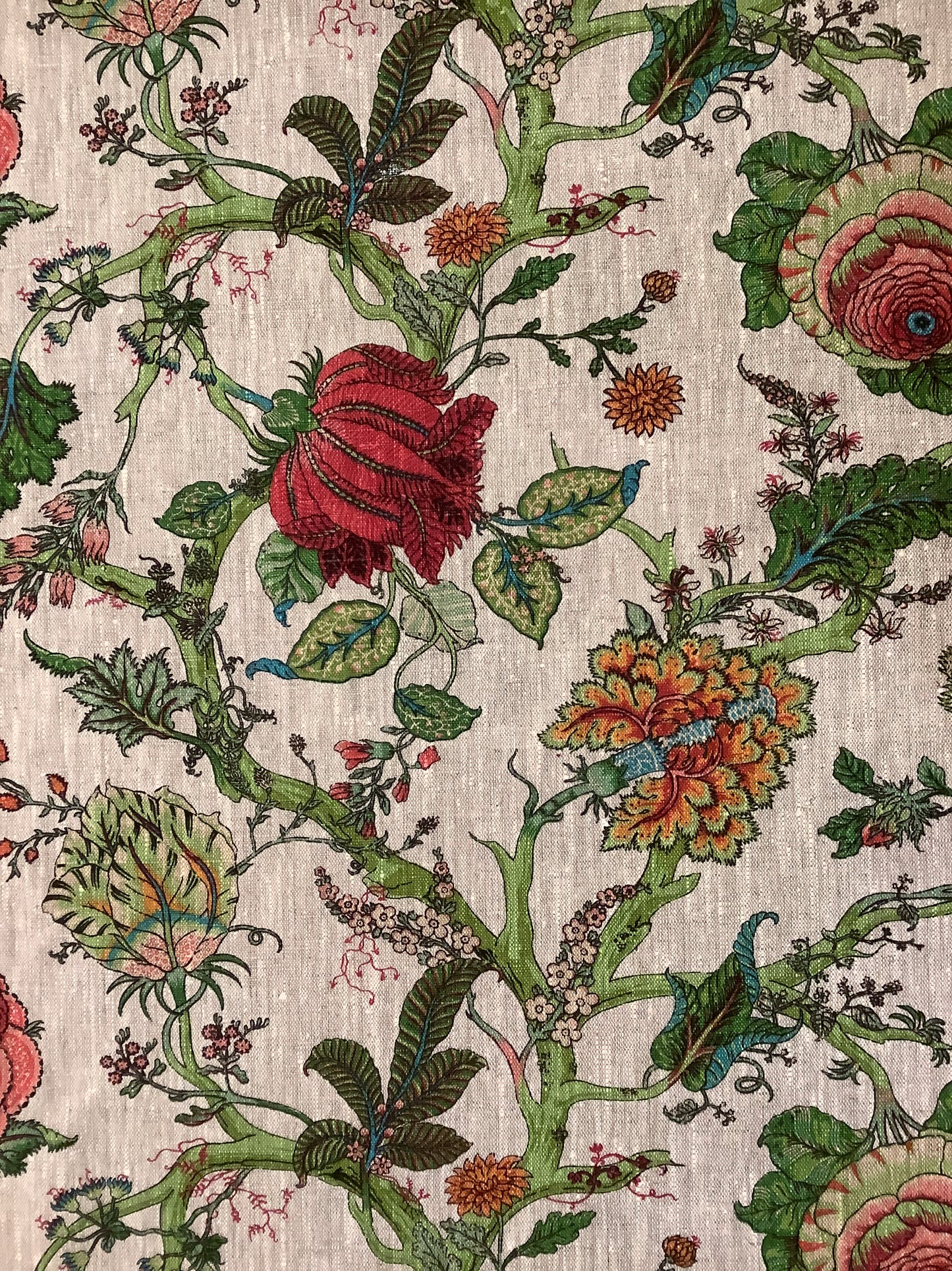 Bukhara Wilde Jungle