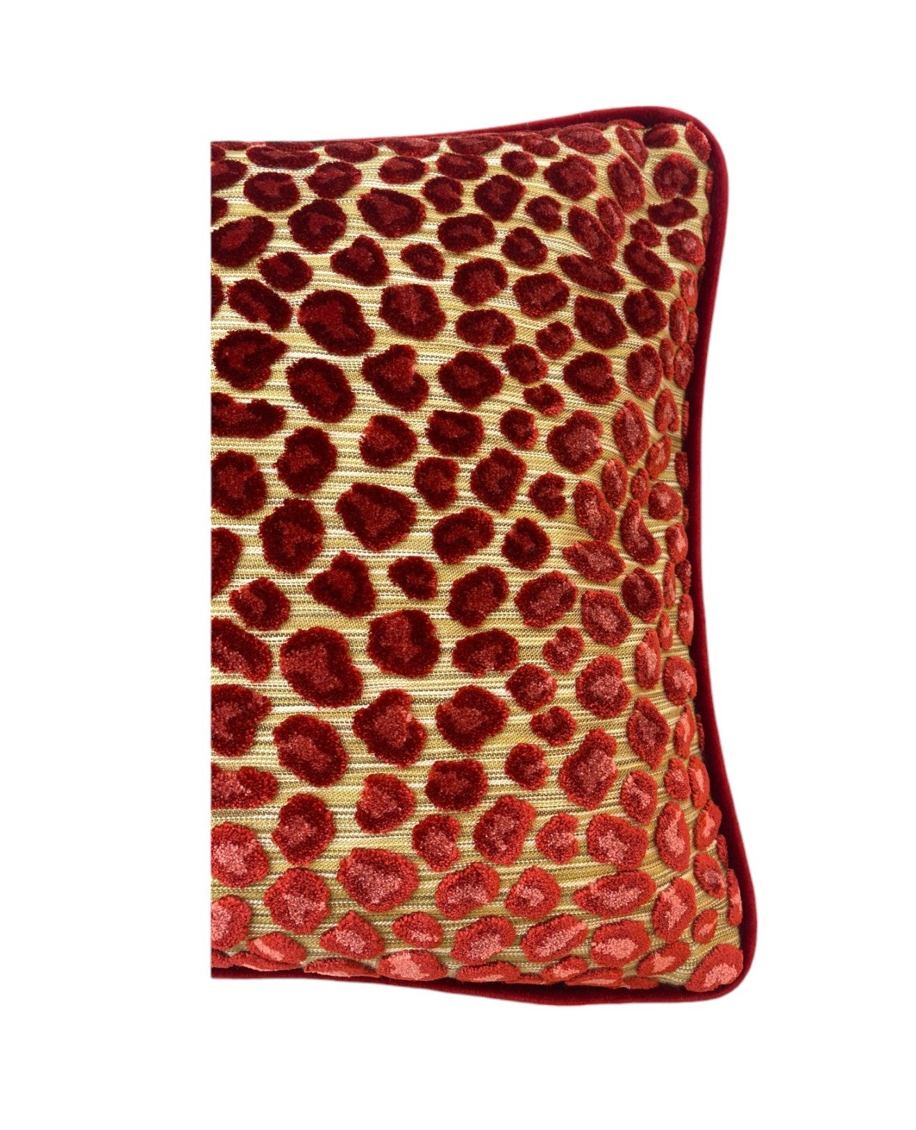 Colefax & Fowler Wilde Cushion