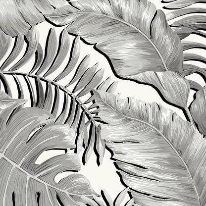 Banana Leaves MAX