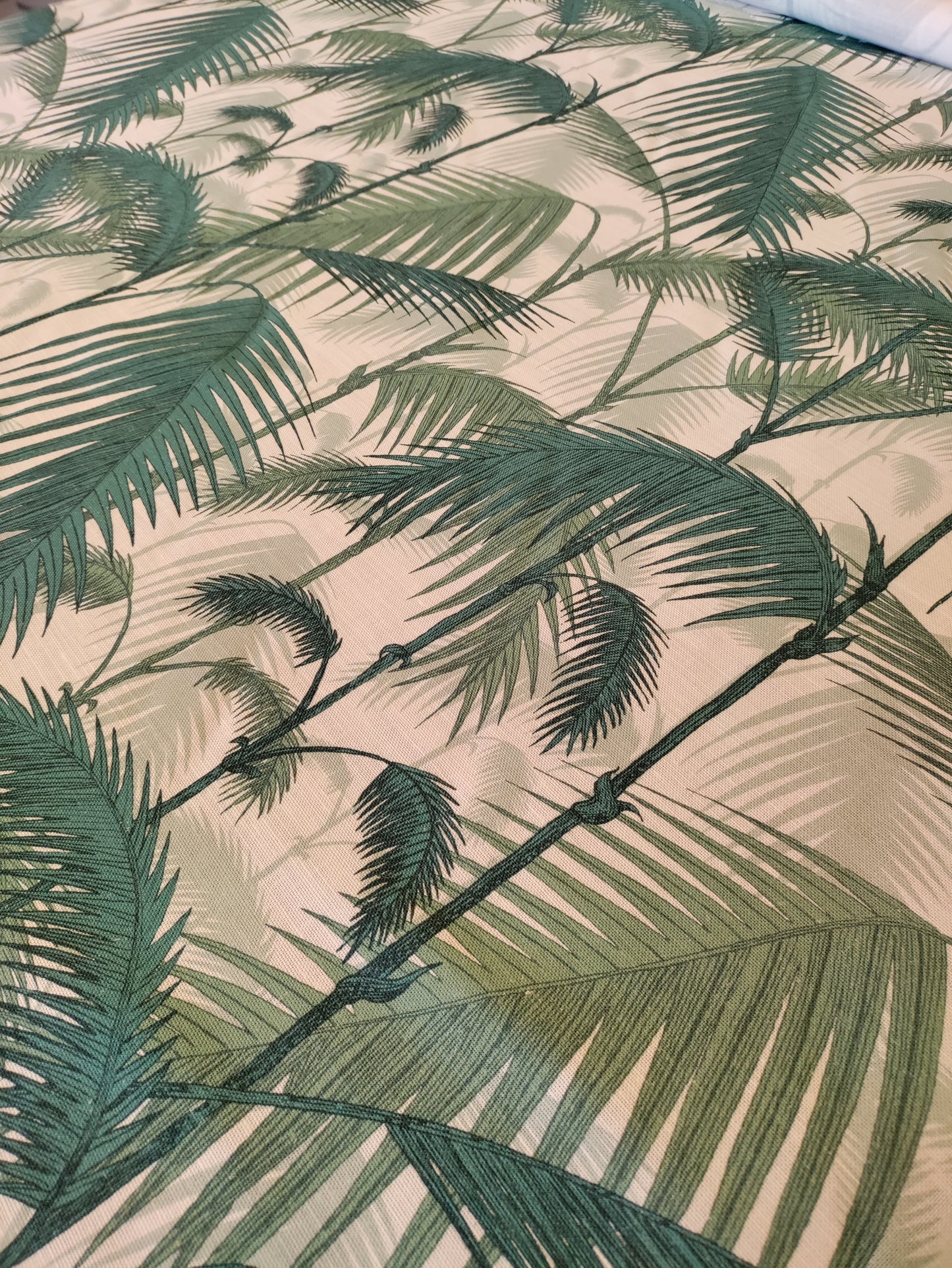 Cole & Son Palm Jungle