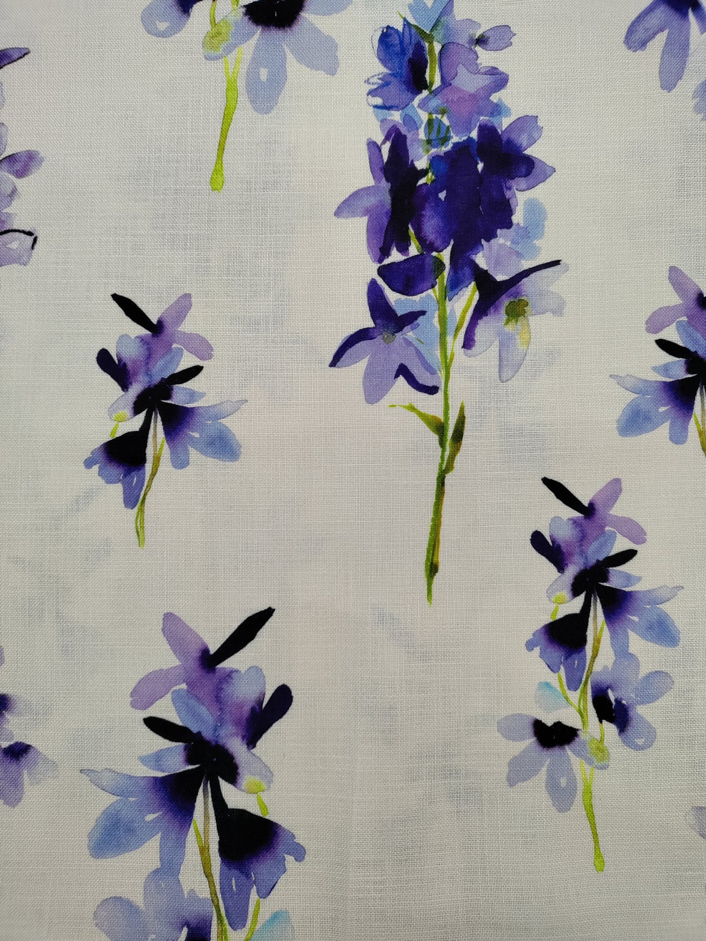 Delphinium by Bluebell Gray