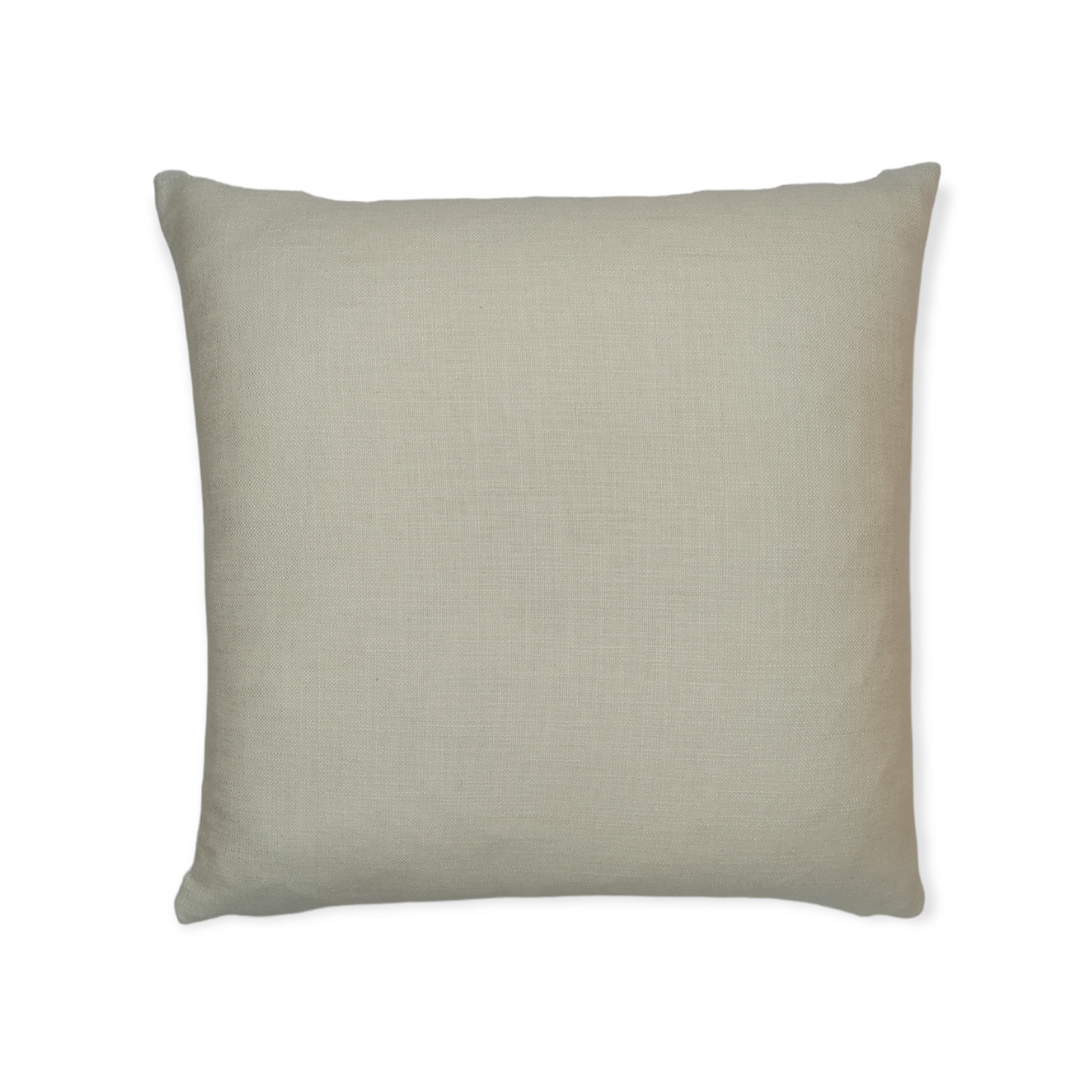 ILIV Winter Fruits Cushion