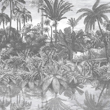 Tropical Reflections