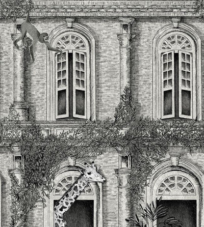 Animal Architecture