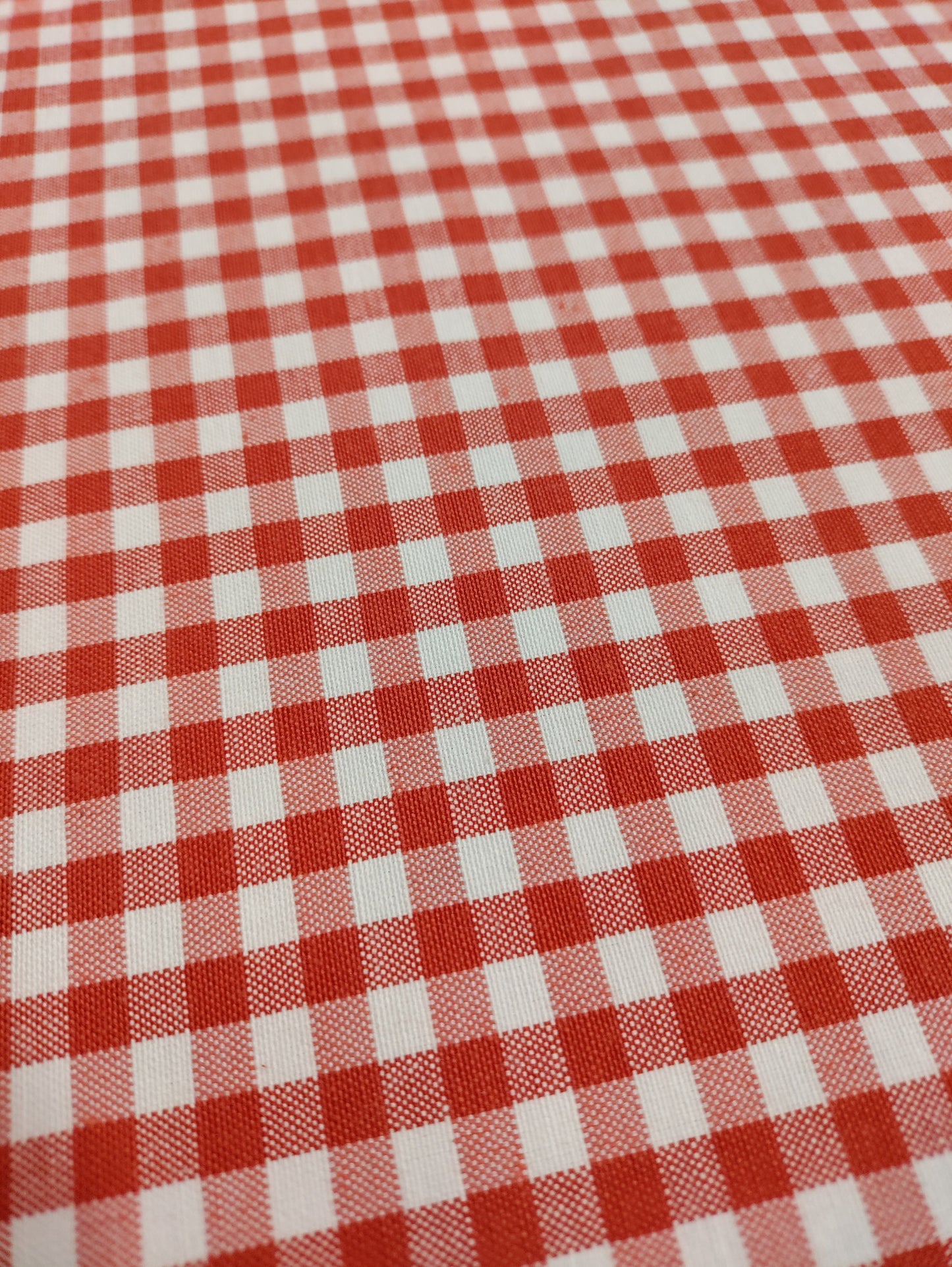 Red Gingham Check