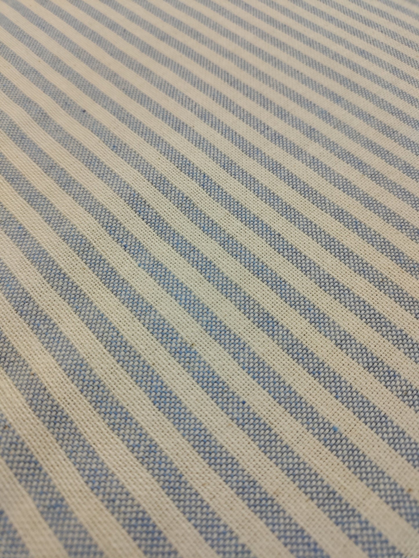 Baby Blue Coast Stripe