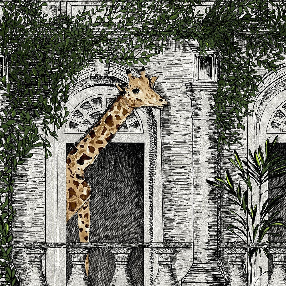 Animal Architecture