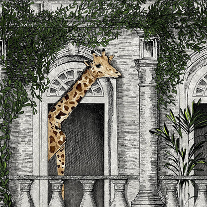 Animal Architecture