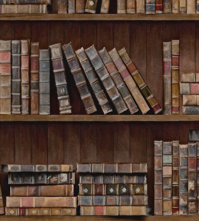 Book Shelves